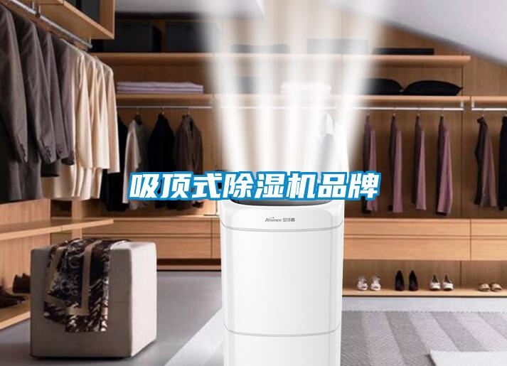 吸顶式草莓视频黄色在线观看机品牌