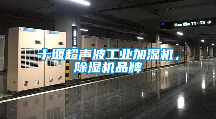 十堰超声波工业加湿机，草莓视频黄色在线观看机品牌