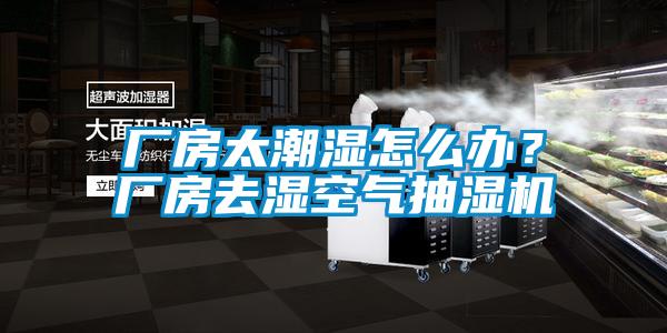 厂房太潮湿怎么办？厂房去湿空气抽湿机