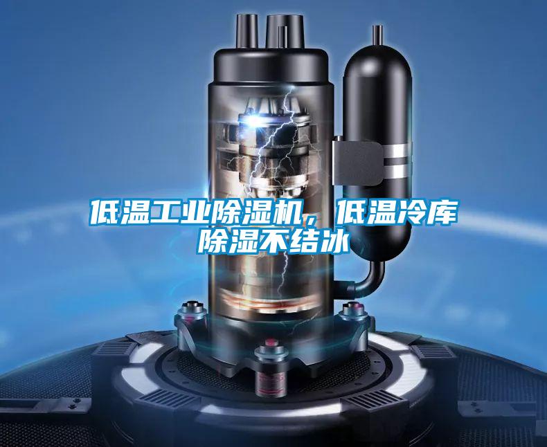 低温工业草莓视频黄色在线观看机，低温冷库草莓视频黄色在线观看不结冰