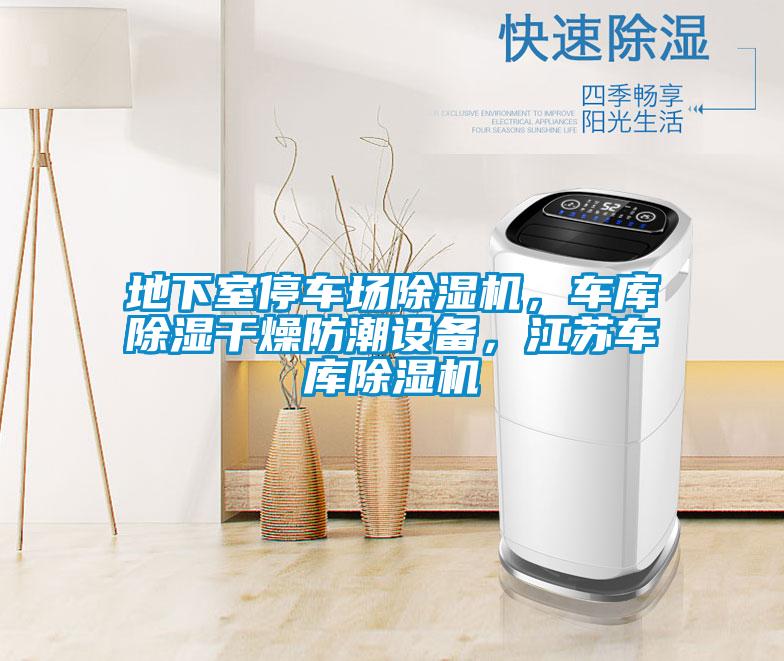 地下室停车场草莓视频黄色在线观看机，车库草莓视频黄色在线观看干燥防潮设备，江苏车库草莓视频黄色在线观看机