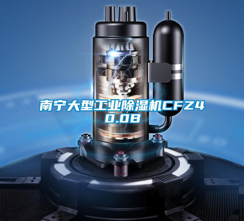 南宁大型工业草莓视频黄色在线观看机CFZ40.0B