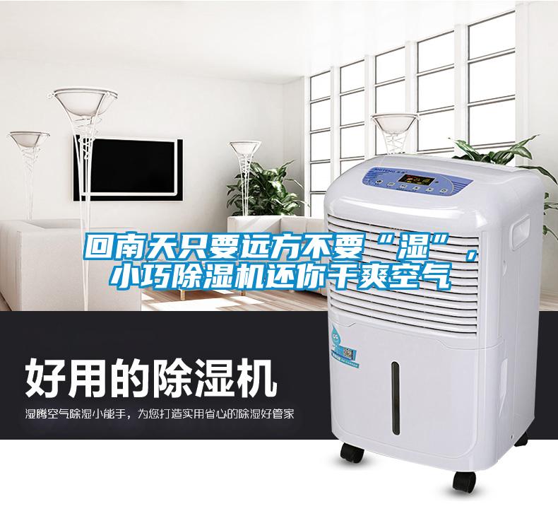 回南天只要远方不要“湿”，小巧草莓视频黄色在线观看机还你干爽空气