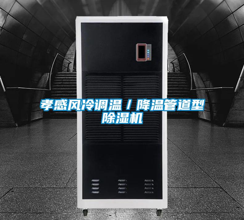 孝感风冷调温／降温管道型草莓视频黄色在线观看机