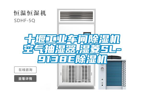 十堰工业车间草莓视频黄色在线观看机空气抽湿器,湿菱SL-9138E草莓视频黄色在线观看机