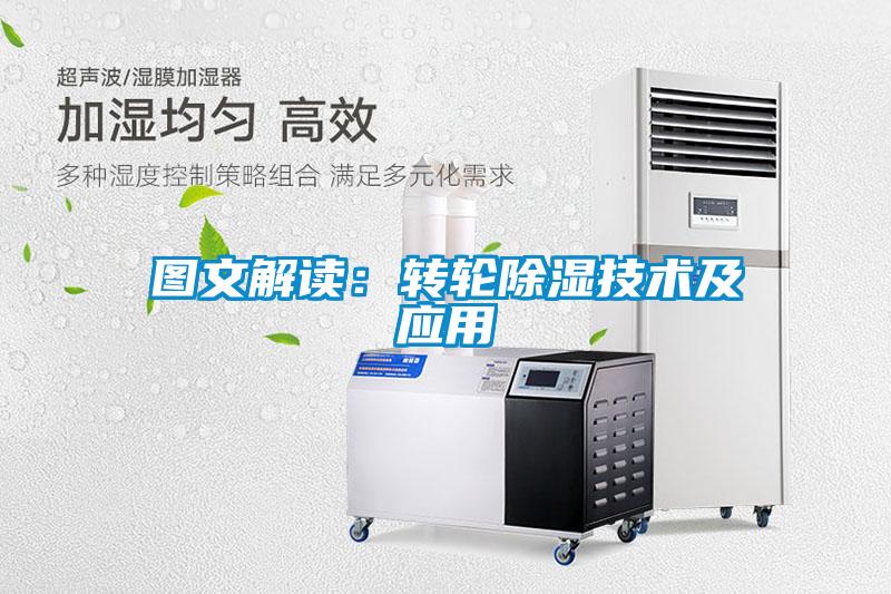 图文解读：转轮草莓视频黄色在线观看技术及应用