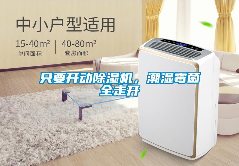 只要开动草莓视频黄色在线观看机，潮湿霉菌全走开