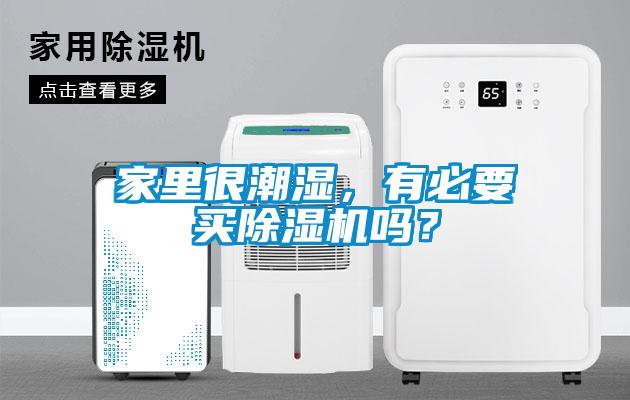 家里很潮湿，有必要买草莓视频黄色在线观看机吗？