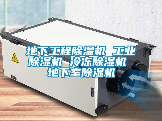 地下工程草莓视频黄色在线观看机 工业草莓视频黄色在线观看机 冷冻草莓视频黄色在线观看机 地下室草莓视频黄色在线观看机