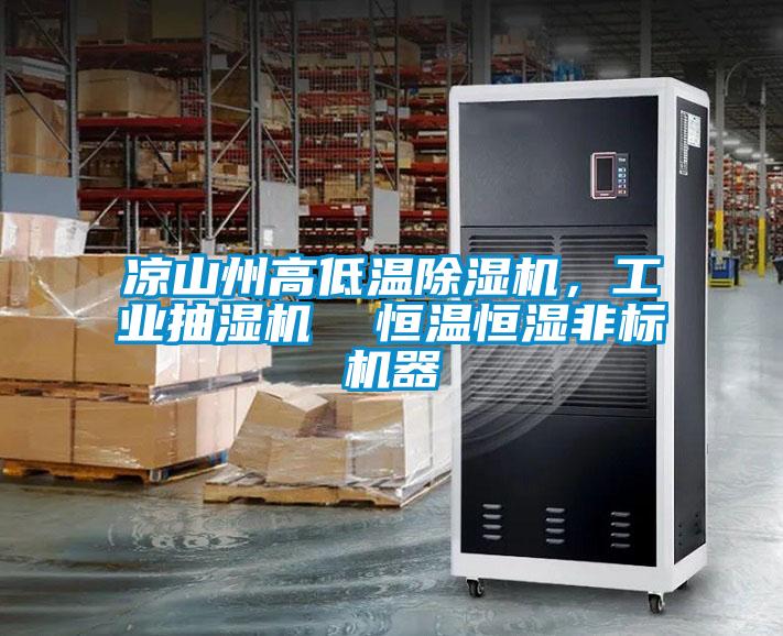 凉山州高低温草莓视频黄色在线观看机，工业抽湿机  恒温恒湿非标机器