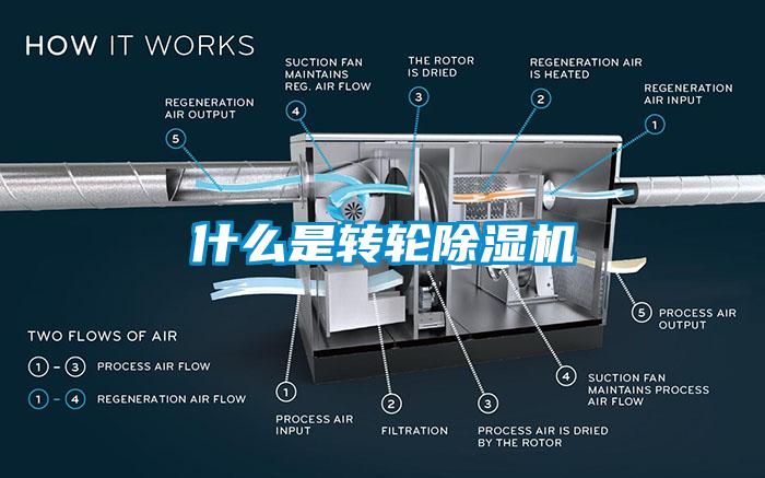 什么是转轮草莓视频黄色在线观看机