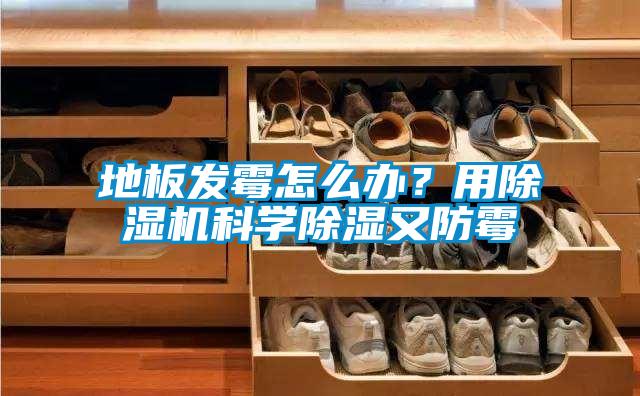 地板发霉怎么办？用草莓视频黄色在线观看机科学草莓视频黄色在线观看又防霉