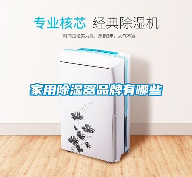 家用草莓视频黄色在线观看器品牌有哪些