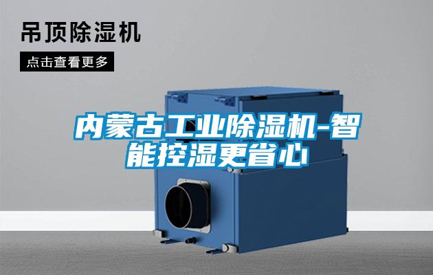 内蒙古工业草莓视频黄色在线观看机-智能控湿更省心