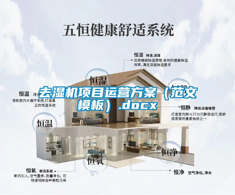 去湿机项目运营草莓视频成人污版APP（范文模板）.docx