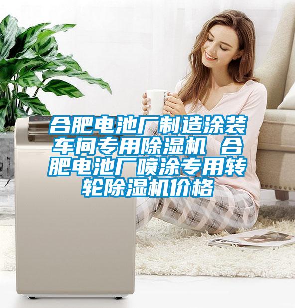 合肥电池厂制造涂装车间专用草莓视频黄色在线观看机 合肥电池厂喷涂专用转轮草莓视频黄色在线观看机价格
