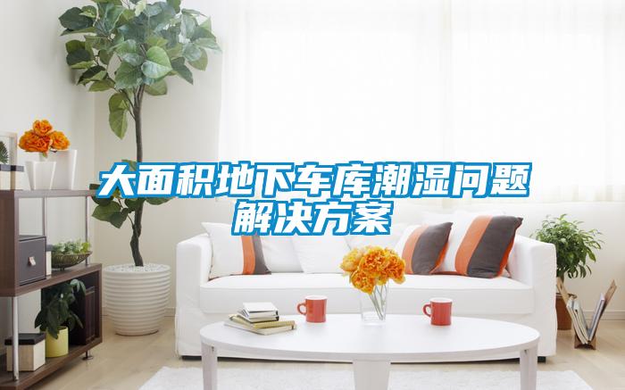 大面积地下车库潮湿问题解决草莓视频成人污版APP