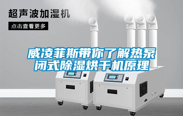 威凌菲斯带你了解热泵闭式草莓视频黄色在线观看烘干机原理