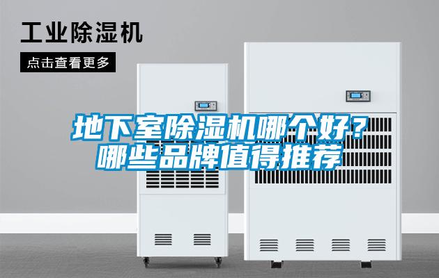 地下室草莓视频黄色在线观看机哪个好？哪些品牌值得推荐