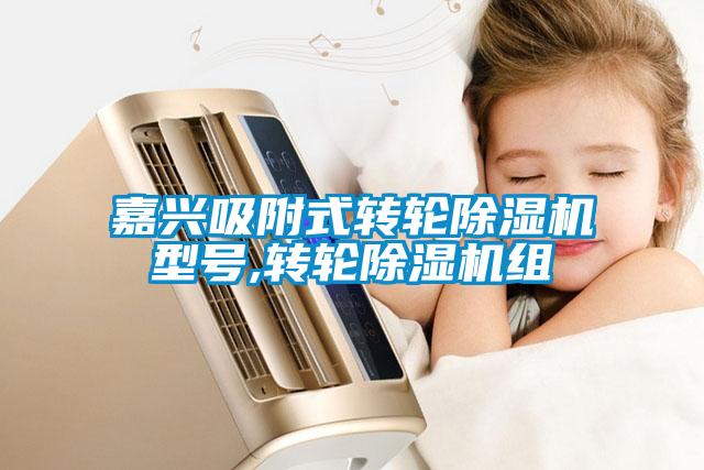 嘉兴吸附式转轮草莓视频黄色在线观看机型号,转轮草莓视频黄色在线观看机组