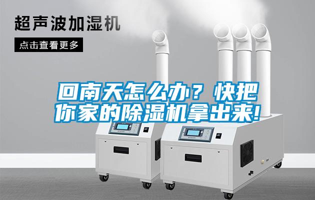回南天怎么办？快把你家的草莓视频黄色在线观看机拿出来!