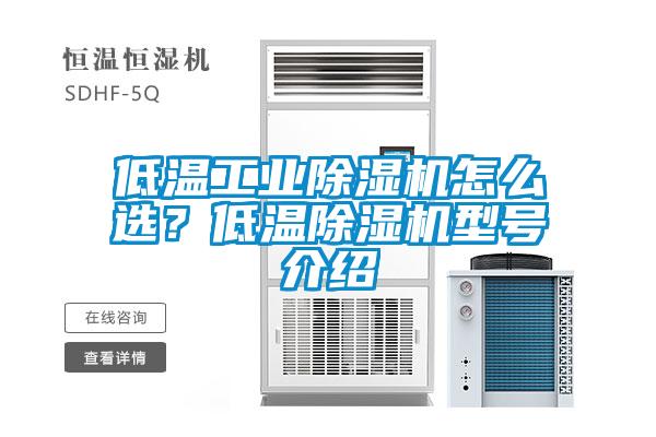 低温工业草莓视频黄色在线观看机怎么选？低温草莓视频黄色在线观看机型号介绍