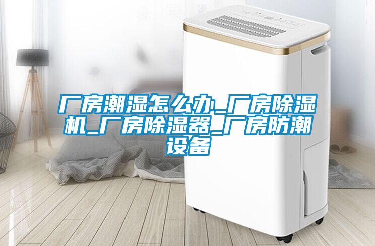 厂房潮湿怎么办_厂房草莓视频黄色在线观看机_厂房草莓视频黄色在线观看器_厂房防潮设备