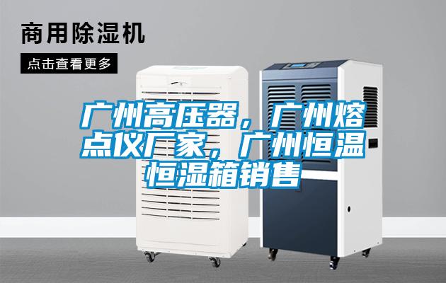 广州高压器，广州熔点仪厂家，广州恒温恒湿箱销售