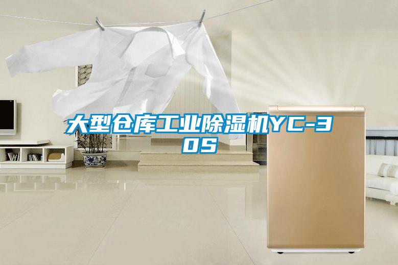 大型仓库工业草莓视频黄色在线观看机YC-30S