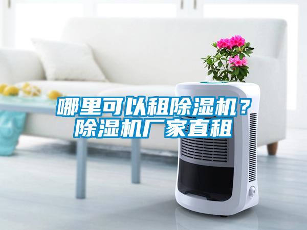 哪里可以租草莓视频黄色在线观看机？草莓视频黄色在线观看机厂家直租