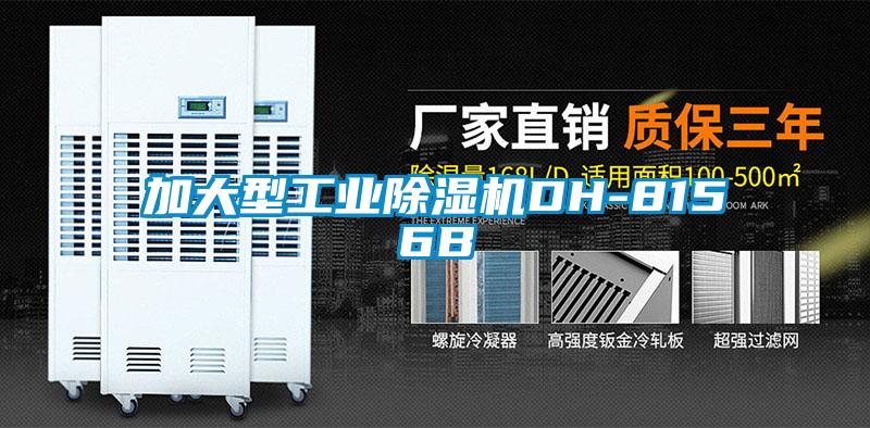 加大型工业草莓视频黄色在线观看机DH-8156B