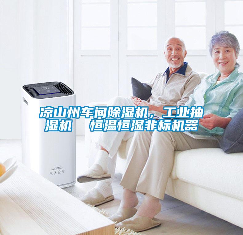 凉山州车间草莓视频黄色在线观看机，工业抽湿机  恒温恒湿非标机器