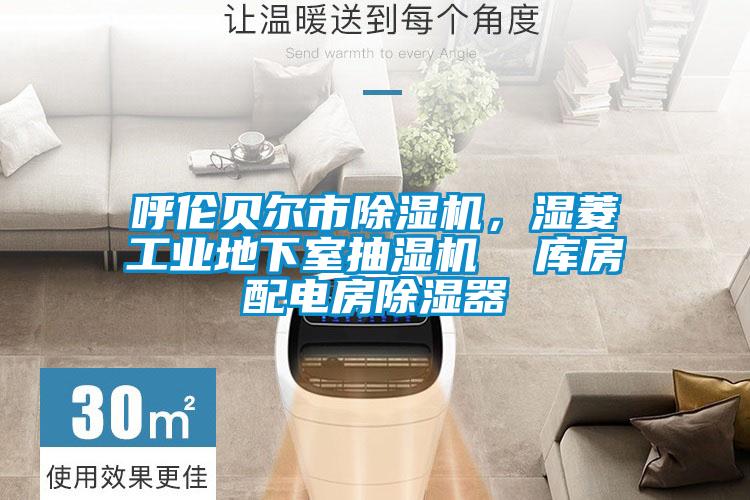 呼伦贝尔市草莓视频黄色在线观看机，湿菱工业地下室抽湿机  库房配电房草莓视频黄色在线观看器