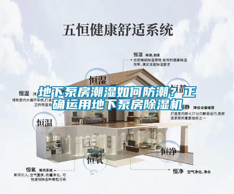 地下泵房潮湿如何防潮？正确运用地下泵房草莓视频黄色在线观看机