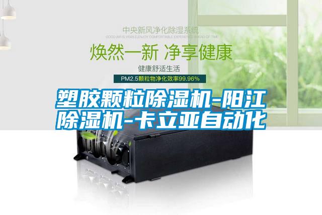 塑胶颗粒草莓视频黄色在线观看机-阳江草莓视频黄色在线观看机-卡立亚自动化