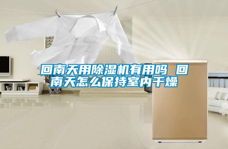 回南天用草莓视频黄色在线观看机有用吗 回南天怎么保持室内干燥