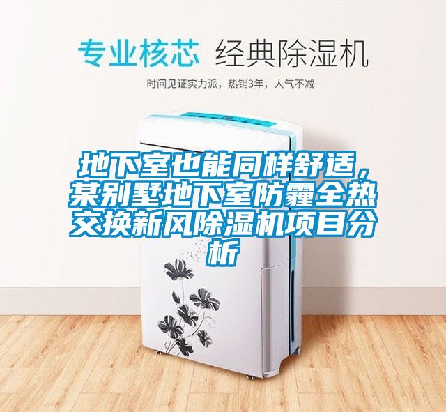 地下室也能同样舒适，某别墅地下室防霾全热交换新风草莓视频黄色在线观看机项目分析