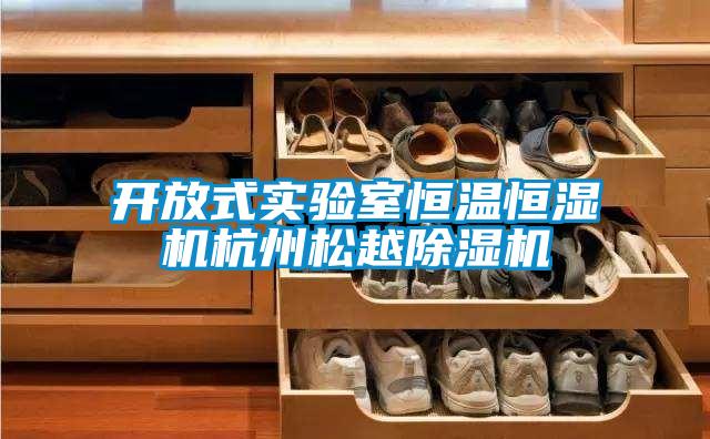 开放式实验室恒温恒湿机杭州松越草莓视频黄色在线观看机