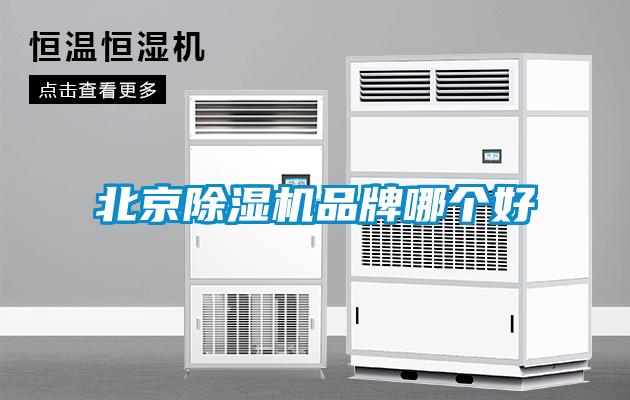 北京草莓视频黄色在线观看机品牌哪个好