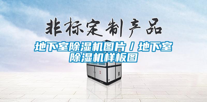 地下室草莓视频黄色在线观看机图片／地下室草莓视频黄色在线观看机样板图