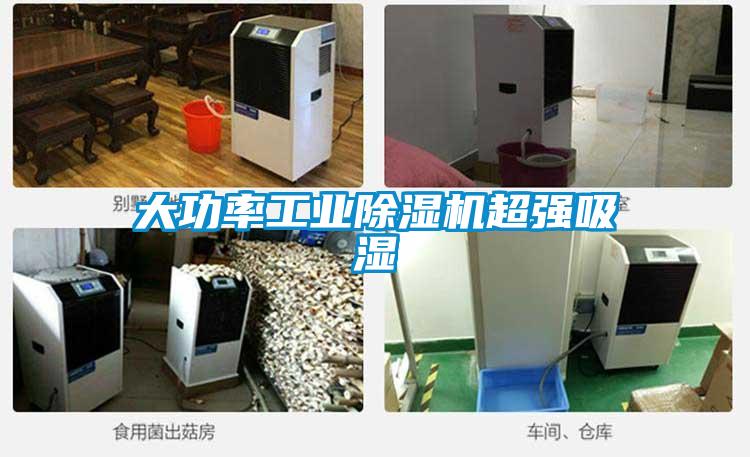 大功率工业草莓视频黄色在线观看机超强吸湿