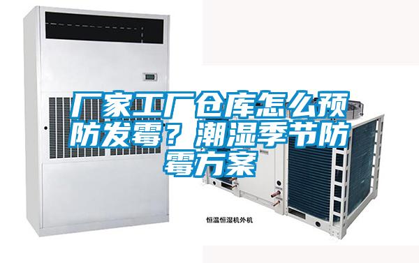 厂家工厂仓库怎么预防发霉？潮湿季节防霉草莓视频成人污版APP