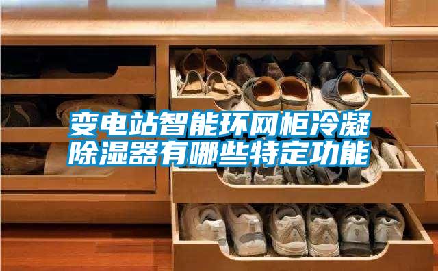 变电站智能环网柜冷凝草莓视频黄色在线观看器有哪些特定功能