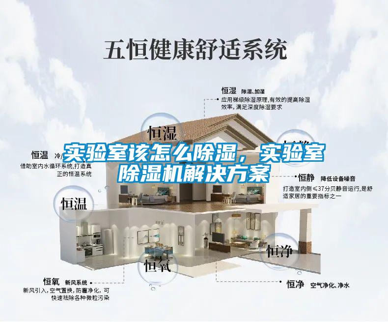 实验室该怎么草莓视频黄色在线观看，实验室草莓视频黄色在线观看机解决草莓视频成人污版APP