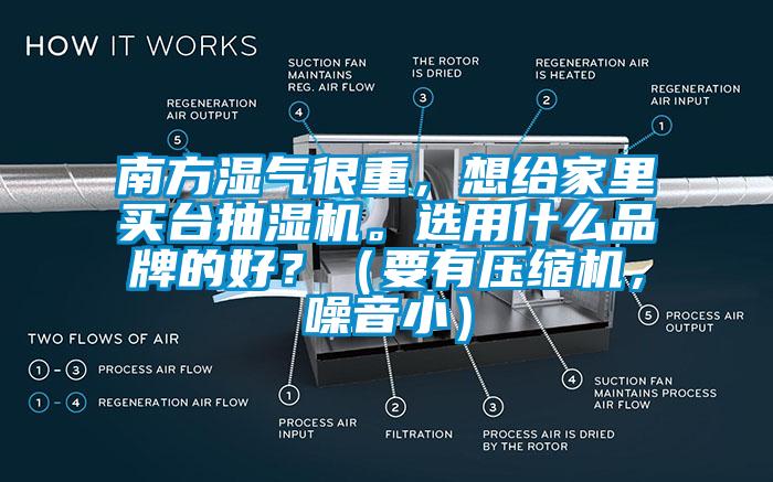 南方湿气很重，想给家里买台抽湿机。选用什么品牌的好？（要有压缩机，噪音小）