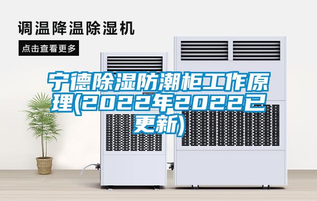 宁德草莓视频黄色在线观看防潮柜工作原理(2022年2022已更新)