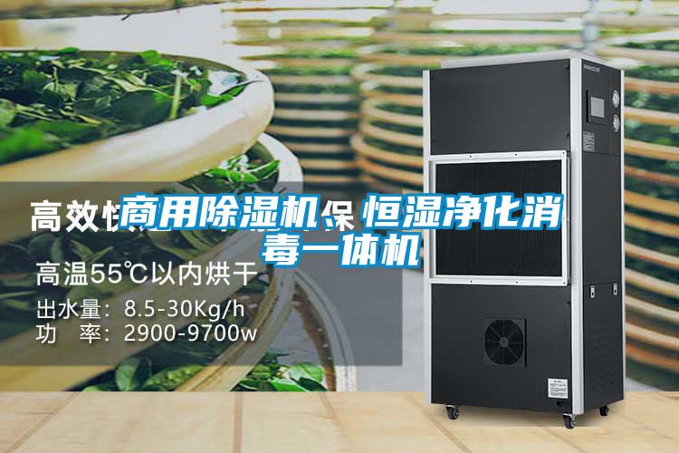 商用草莓视频黄色在线观看机、恒湿净化消毒一体机