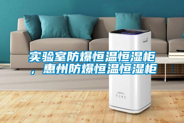 实验室防爆恒温恒湿柜，惠州防爆恒温恒湿柜