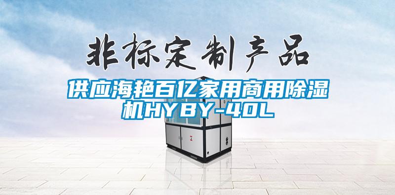 供应海艳百亿家用商用草莓视频黄色在线观看机HYBY-40L