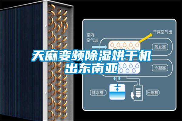 天麻变频草莓视频黄色在线观看烘干机出东南亚